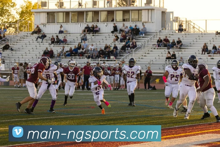 ng体育平台生态图