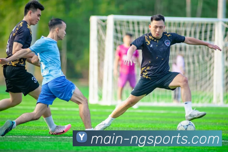 ng体育APP 封面图